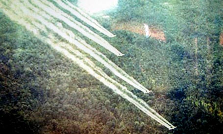 Can Tho City commemorates 50 years of the Agent Orange disaster
